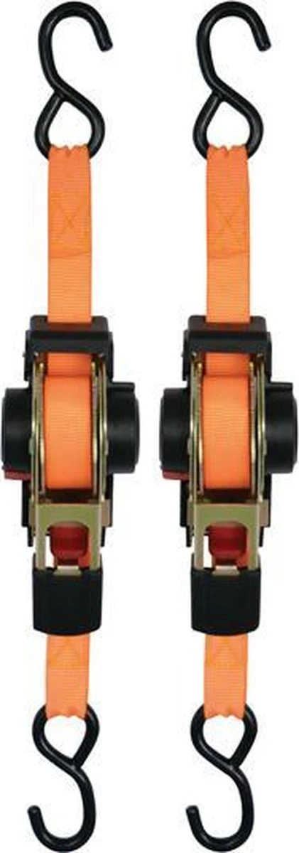 Carpoint Spanband Automatisch 3mtr 2 Stuks - Image 5