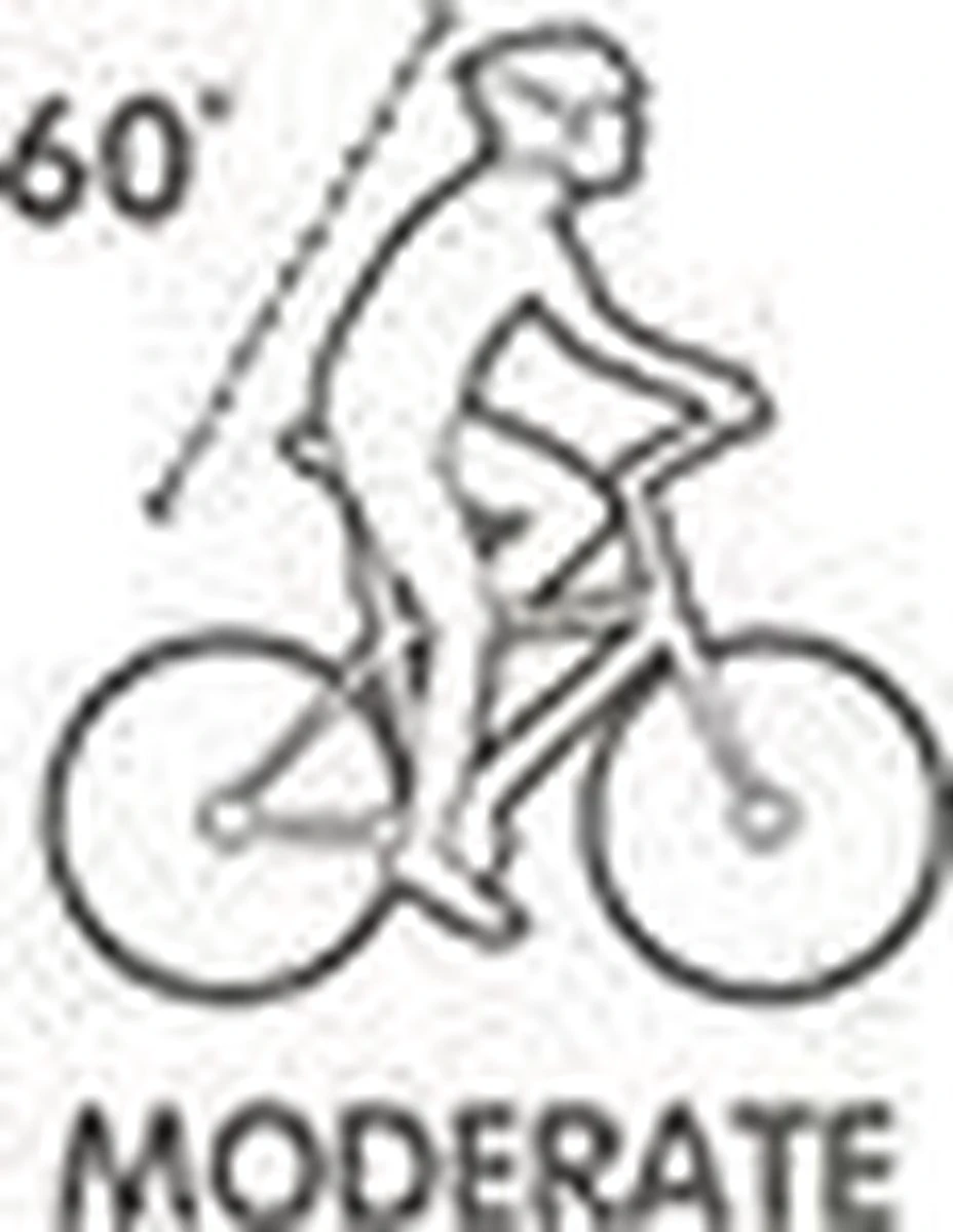 Selle Royal Avenue Moderate 8466 - Fietszadel - Gel - Zwart - Image 17